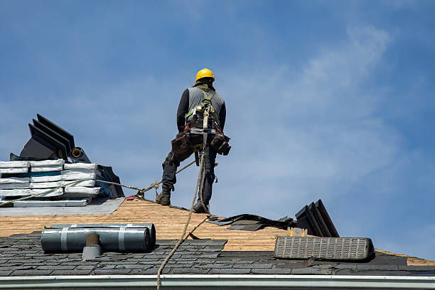 Professional Gutter Installation technician working in East Saint Louis, IL
